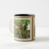 オジロ鹿シカ-子鹿のマグ2 ツートーンマグカップ (正面左)