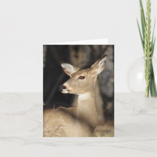 オジロ鹿シカNotecard -中ブランク サンキューカード (正面)