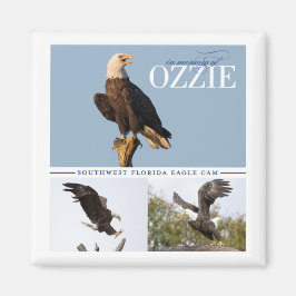 オジー磁石の記憶 マグネット