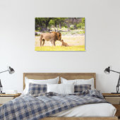 オスのオスのライオンが子どもを検査する キャンバスプリント (インサイチュ (寝室))