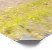 オスのオスのライオンが子どもを検査する ポスター (角)