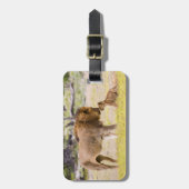 オスのオスのライオンが子どもを検査する ラゲッジタグ (正面縦)