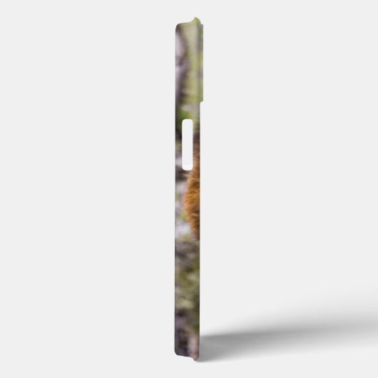 オスのオスのライオンが子どもを検査する Case-Mate iPhoneケース (裏面 / 右)