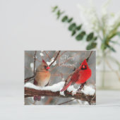 オスのカーディナルとメスのカーディナル シーズンポストカード (スタンド正面)
