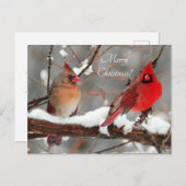 オスのカーディナルとメスのカーディナル シーズンポストカード (正面/裏面)