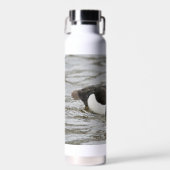 オスのタフテッドアヒルのトール熱ボトルとイメージ ウォーターボトル (正面)