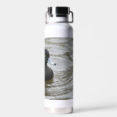 オスのタフテッドアヒルのトール熱ボトルとイメージ ウォーターボトル (背面)