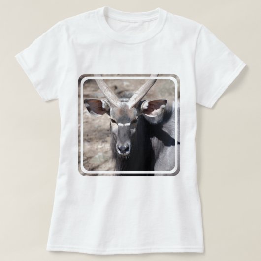 オスのニアラ Tシャツ (デザイン正面)