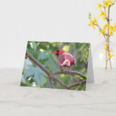 「オスのノーザンカーディナル」誕生日カード #2 カード (黄色い花)