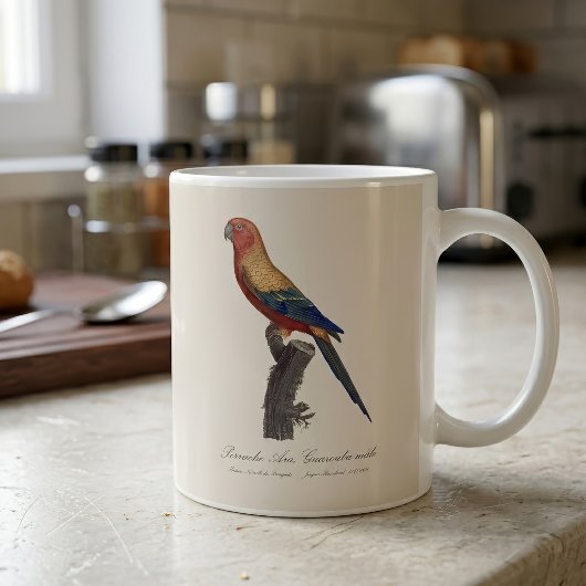オスのヒメコンゴウインコ Aratinga Solstitialis コーヒーマグカップ