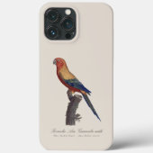 オスのヒメコンゴウインコ Aratinga solstitialis Case-Mate iPhoneケース (裏面)