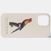 オスのヒメコンゴウインコ Aratinga solstitialis Case-Mate iPhoneケース (裏面 (横))