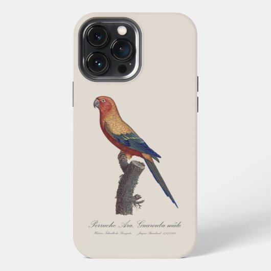 オスのヒメコンゴウインコ Aratinga solstitialis iPhoneケース (裏面)