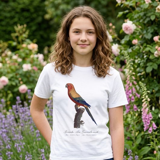 オスのヒメコンゴウインコ, Aratinga solstitialis Tシャツ