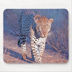 オスのヒョウ マウスパッド