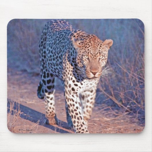 オスのヒョウ マウスパッド (正面)