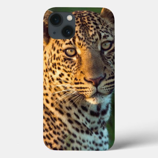 オスのヒョウ(Panthera pardus)成育した子どものヒョウ Case-Mate iPhoneケース (裏面)