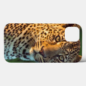 オスのヒョウ(Panthera pardus)成育した子どものヒョウ Case-Mate iPhoneケース (裏面 (横))