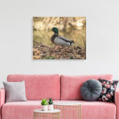 オスのマガモのアヒルのフルカラーの写真 キャンバスプリント (インサイチュ (リビング))