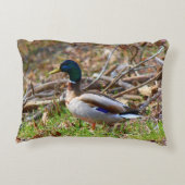 オスのマガモのアヒル アクセントクッション (裏面)