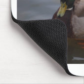 オスのマガモのアヒル マウスパッド (コーナー)