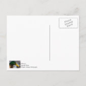 オスのマダラガモのポートレート ポストカード (裏面)