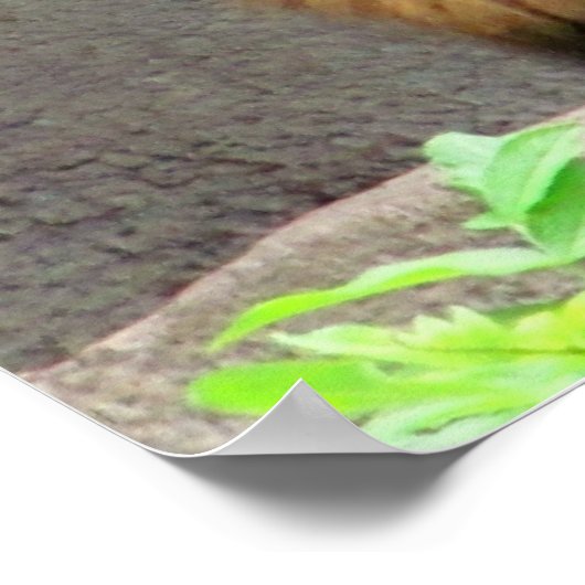 オスのライオンセントオーガスティン真実引用文 ポスター (角)