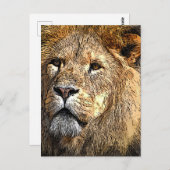 オスのライオン漫画おもしろい/ノベルティはがき ポストカード (正面/裏面)