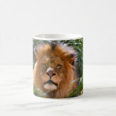 オスのライオン、コーヒー・マグ百獣の王 コーヒーマグカップ (中央)