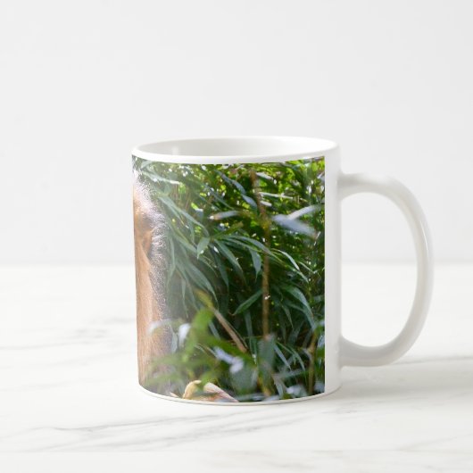 オスのライオン、コーヒー・マグ百獣の王 コーヒーマグカップ (右)