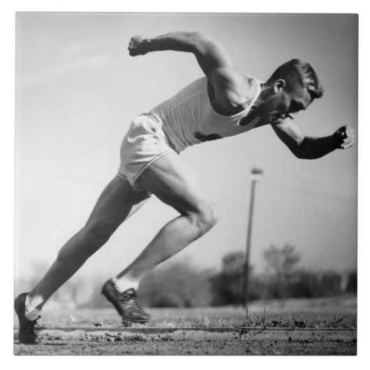 オスのランナー タイル (正面)