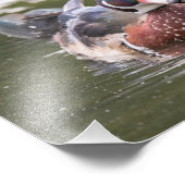 オスの木のアヒルだけでプリントに沿って浮く フォトプリント            (角)