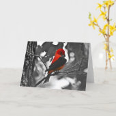 オスの深紅フウキンチョウ族 カード (黄色い花)