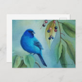 オスの藍文鳥ハックベリーの水彩画 ポストカード (正面/裏面)