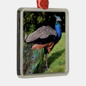 オスインディアンクジャク メタルオーナメント (右)