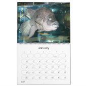 オスカーのスポット カレンダー (1月 2027)