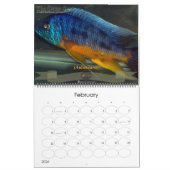 オスカーのスポット カレンダー (2月 2026)