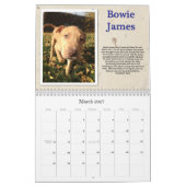 オスカーの救助犬のカレンダー カレンダー (3月 2027)