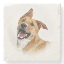 オスカーは、実験室コースターありたいと思います