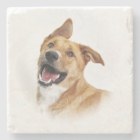 オスカーは、実験室コースターありたいと思います ストーンコースター (正面)