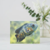 オスカーフィッシュ ポストカード (スタンド正面)