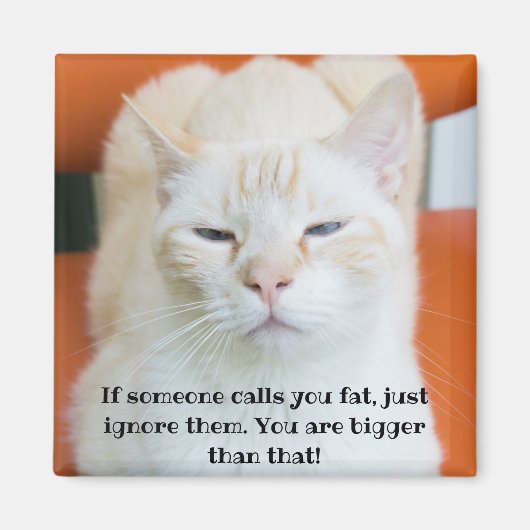 オスカー侮辱的なおもしろい猫 マグネット (正面)