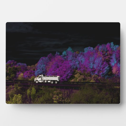 オスカー葉パーティー フォトプラーク (正面)