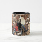 オスカー青いチワワのコーヒー・マグ マグカップ (中央)