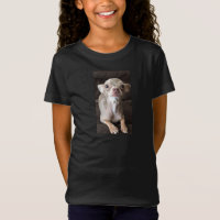 オスカー青いチワワのTシャツかスエットシャツ