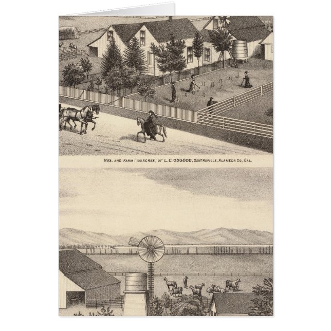 オスグッド、キャメロンのレジデンス、農場 (正面)