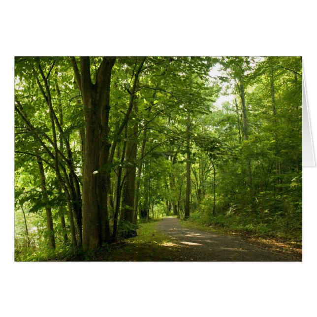 オススエロアイランドワイアダムブリストルテネシー (正面横)