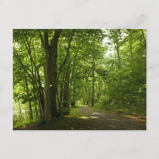 オススエロアイランドワイアダムブリストルテネシー ポストカード (正面)