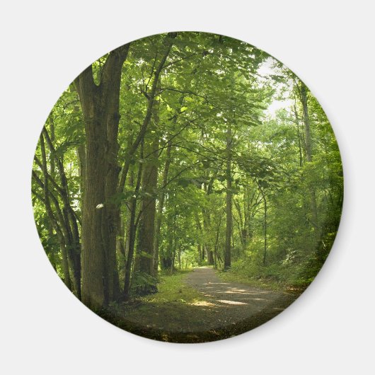 オススエロアイランドワイアダムブリストルテネシー マグネット (正面)