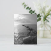 オスタインセルフェマーン ポストカード (スタンド正面)